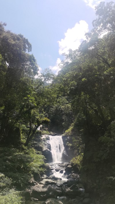 內洞國家森林遊樂區瀑布（攝影：林業保育署新竹分署提供）