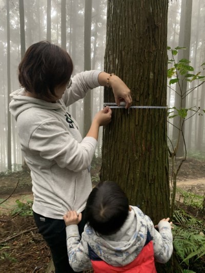企業員工操作測量儀器算出一棵樹可以存多少碳（林業保育署新竹分署）
