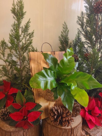 「聖誕．植森活」DIY植栽上板課程（林業保育署新竹分署提供）