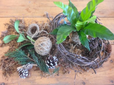 「聖誕．植森活」DIY苔球課程（林業保育署新竹分署提供）