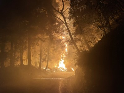 大鹿林道112年3月23日森林火災情形(林業保育署新竹分署提供)