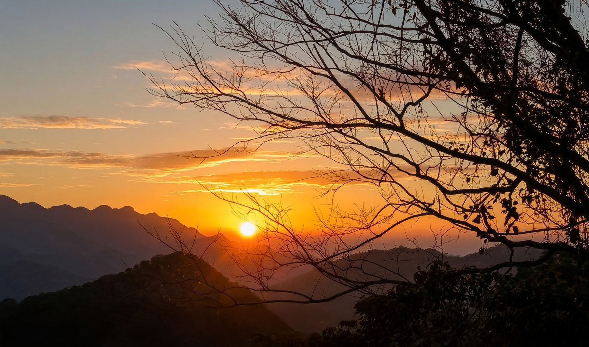 東眼山國家森林遊樂區夕陽