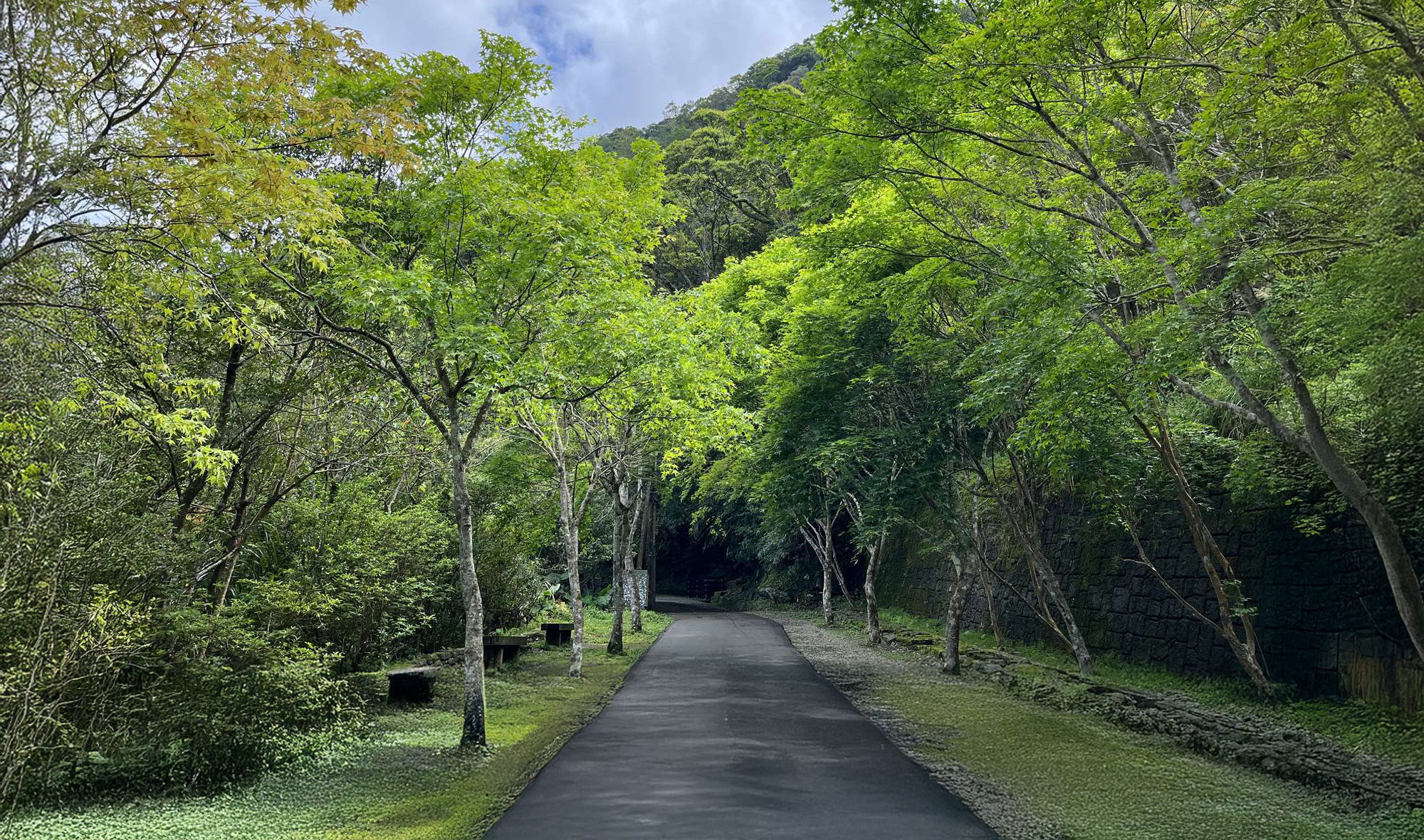 滿月圓國家森林遊樂區步道