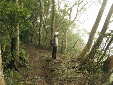 鳥嘴山步道