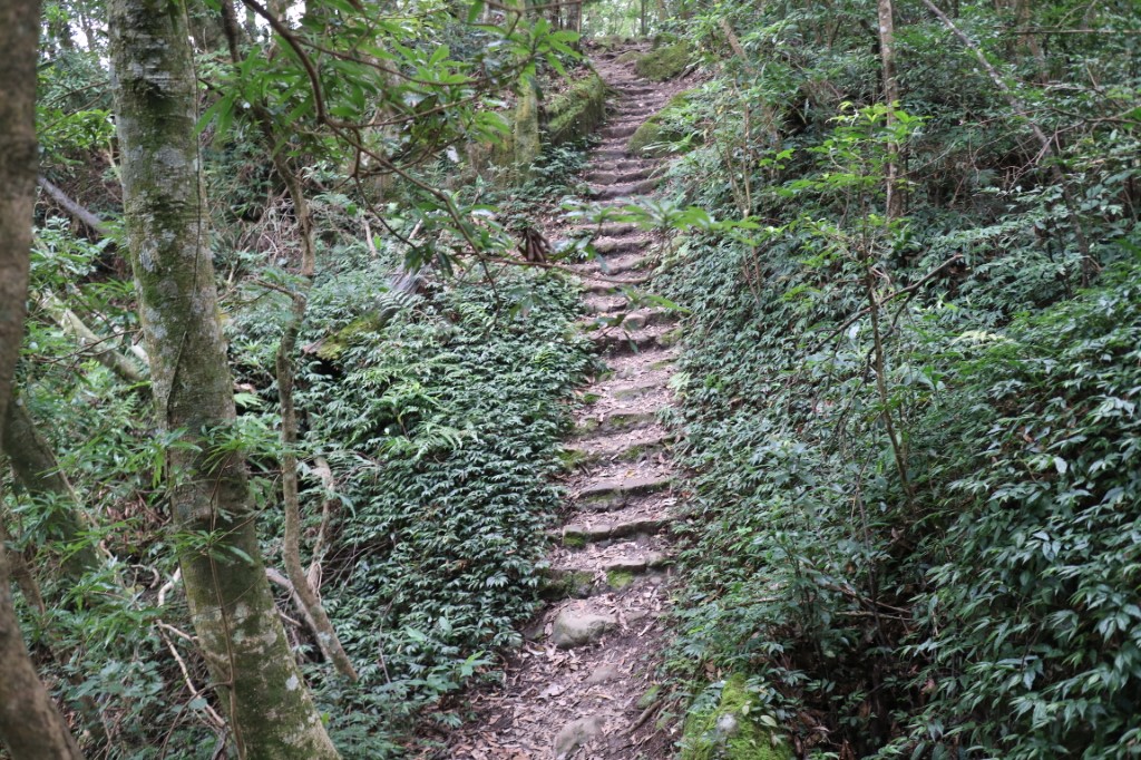 五指山登山步道