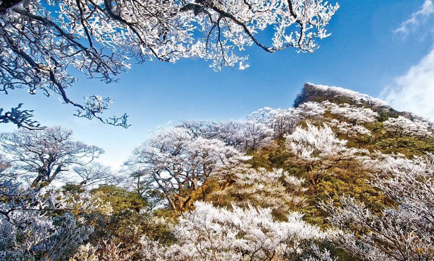 北插天山登山步道-雪景