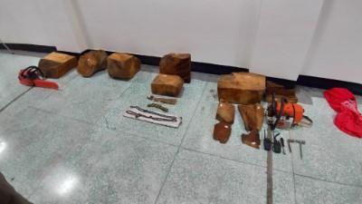 贓木及工具(新竹林管處提供照片)