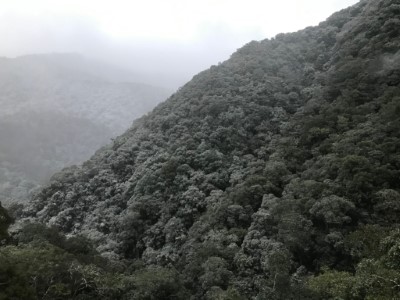 拉拉山巨木區雪景5(拍攝：林務局新竹林管處提供)