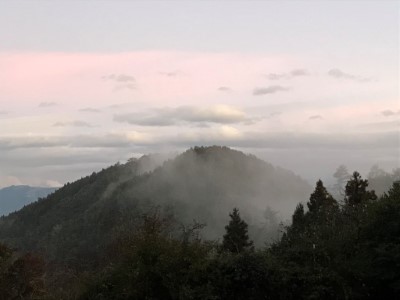 觀霧國家森林遊樂區地處於臺灣山區中海拔雲霧帶，林相屬於溫暖帶針闊葉混合林