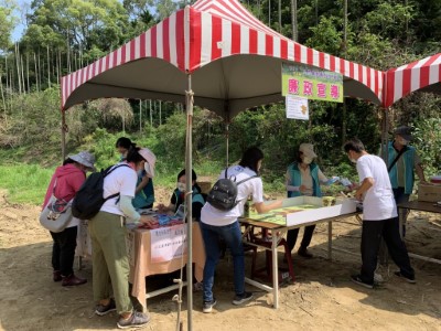 9月4日於苗栗縣通霄鎮楓樹社區辦理「農村社區住民廉潔共好」小花蔓澤蘭防治日廉政宣導活動，政風室與廉政志工一同辦理廉政宣導（新竹林管處提供）