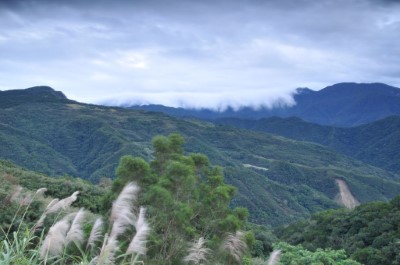 從東眼山遠眺沿著山脊傾洩而下的雲瀑(新竹林管處提供)
