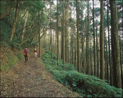 東滿步道(新竹林區管理處提供)