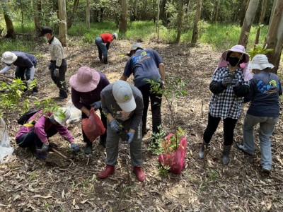 圖5.結合在地社區共同參與保安林林下原生蜜源植物栽植工作。(新竹林管處提供)