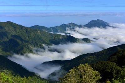 觀霧地區水的變化常令人難以捉摸，時而霧氣朦朧、時而白雲騰空、時而雲海滿溢。（森之形自然教育團隊提供）