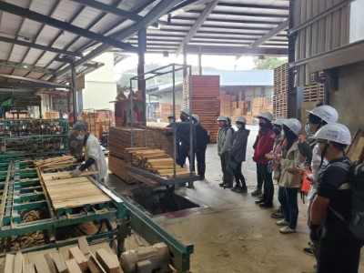 到木材加工廠瞭解各種國產材知識(攝影者-新竹林管處)
