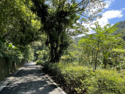 鬱鬱蔥蔥的觀瀑步道(新竹林區管理處提供)