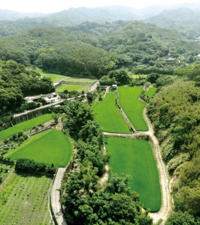 森林、農田、果園及聚落鑲嵌的淺山地景為石虎重要棲地(新竹林區管理處提供)