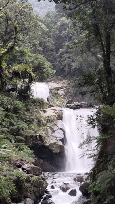 內洞國家森林遊樂區的瀑布