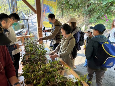 前300名入園民眾於滿月圓國家森林遊樂區領取原生樹苗