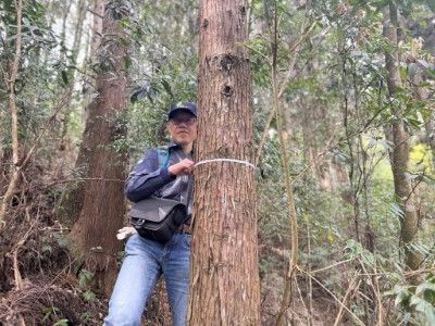 「森林資源調查 永續林業-2」