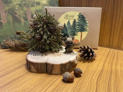 手作一棵療癒耶誕樹增添聖誕氛圍(滿月圓遊客中心提供)