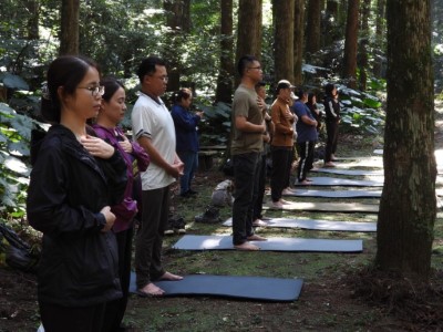 癒見森林_森林的瑜珈課(東眼山自然教育中心提供)