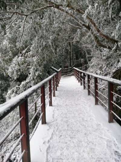 拉拉山國家森林遊樂區雪景(林業保育署新竹分署提供)