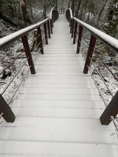 拉拉山國家森林遊樂區雪景(林業保育署新竹分署提供)