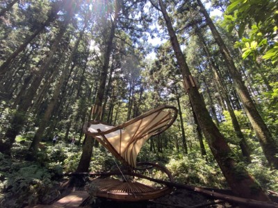 東眼山的木構藝術裝置-環森(林業保育署新竹分署提供)