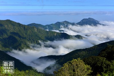 炎炎夏日來到雲海上的觀霧森林，讓沁涼的自然洗滌身心。（森之形自然教育團隊提供；陳柏璋攝影）