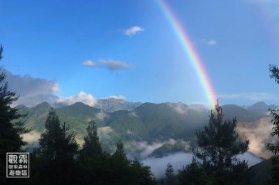 來到雲海之上的觀霧森林，您可以聆聽最純淨的自然音、感受微風吹拂、呼吸清新空氣，讓身心得到放鬆療癒。（森之形自然教育團隊提供；邱瑀薰攝影）