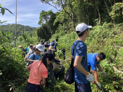 民眾在烈陽下努力除蔓(新竹分署提供)