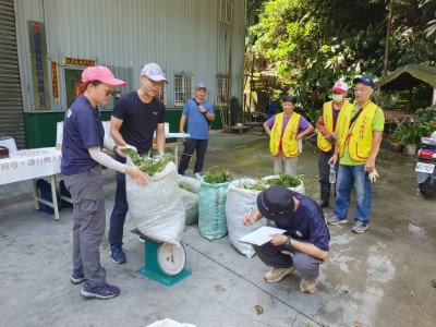 除蔓成果秤重(新竹分署提供)