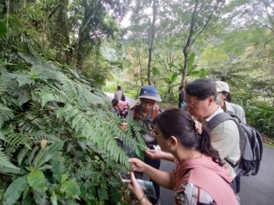 蕨類主題導覽，引導民眾近身觀察(攝影：林業保育署新竹分署提供)