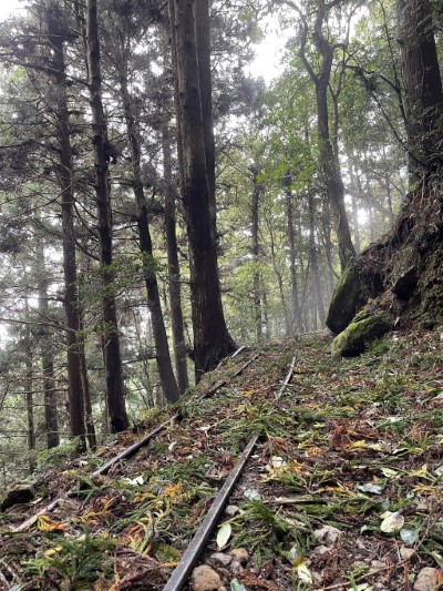 往昔林場台車遺跡(林業保育署新竹分署提供)