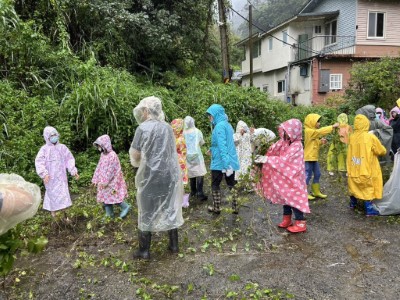 學校師生及工作站同仁在雨中親手移除綠癌(林業保育署新竹分署提供)