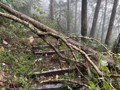 東眼山國家森林遊樂區風災影響狀況(新竹分署提供)