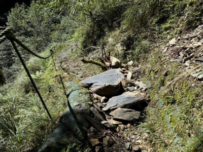 觀霧國家森林遊樂區檜山巨木群步道落石阻礙通行，移除中（新竹分署提供）