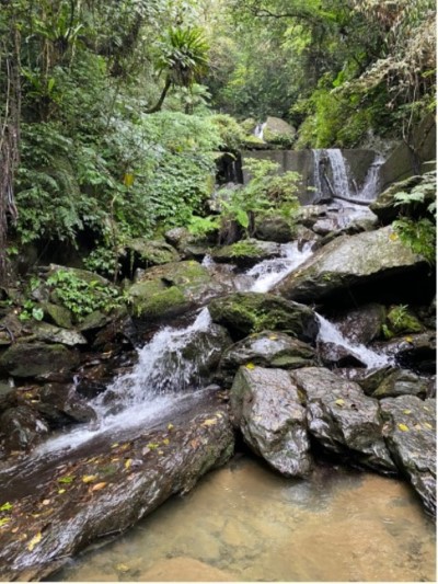 西坑林道一景(烏來林業生活館提供)