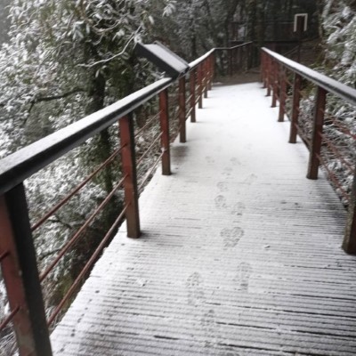 拉拉山國家森林遊樂區雪景(林業保育署新竹分署提供)