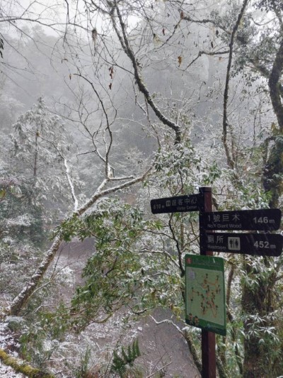 拉拉山國家森林遊樂區雪景(林業保育署新竹分署提供)