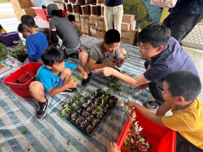 本次課程學習4種受脅植物的扦插繁殖與育苗技巧，包括島田氏雞兒腸、庭梅、三葉埔姜及新竹油菊。(林業保育署新竹分署黃婉如提供)