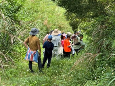 林業試驗所研究人員帶領實地走訪牛車路生態路線，進行植物辨識與採集，在野外學習中理解物種多樣性與棲地依存的重要性。(林業試驗所提供)