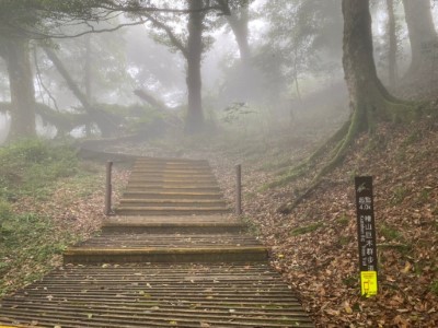 觀霧國家森林遊樂區檜山巨木群步道雙向人流計數器(林業保育署新竹分署提供)