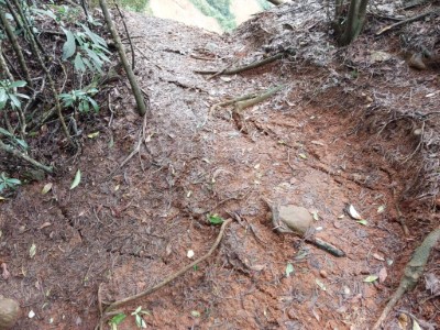 火炎山山徑1.8K處裂痕(林業保育署新竹分署提供)