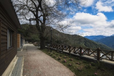觀霧山莊(林業保育署新竹分署提供)