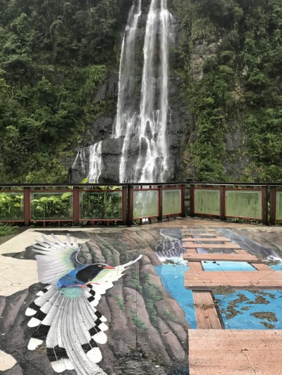 戶外探索認識烏來美景(烏來林業生活館提供)