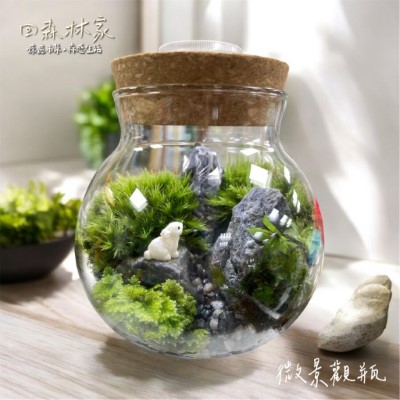 2025回森林家_微景觀瓶手作DIY(林業保育署新竹分署提供)