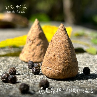 2025回森林家_癒見森林手作倒流香(林業保育署新竹分署提供)