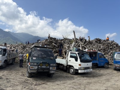 石門水庫阿姆坪臨時堆置場漂流木開放民眾自由撿拾。(林業保育署新竹分署提供)